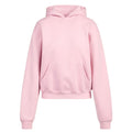 Skims Cotton Fleece Classic Pullover Hoodie Pink Halite PL-PLO-8365W XL
