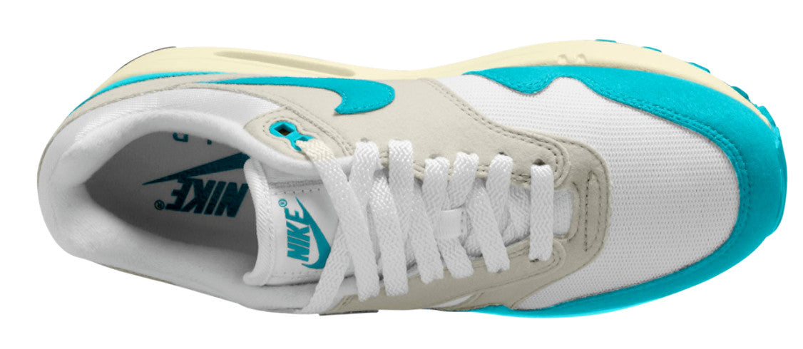 Nike Air Max 1 WMNS "Dusty Cactus," DZ2628-107, Size US 8