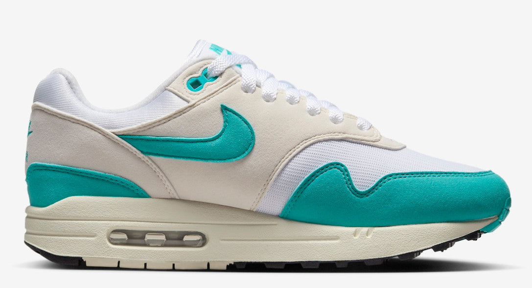 Nike Air Max 1 WMNS "Dusty Cactus," DZ2628-107, Size US 8
