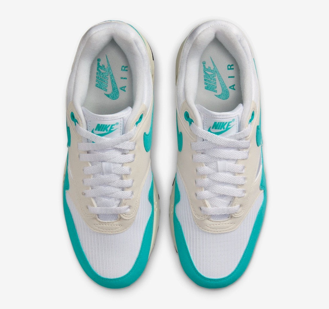 Nike Air Max 1 WMNS "Dusty Cactus," DZ2628-107, Size US 8