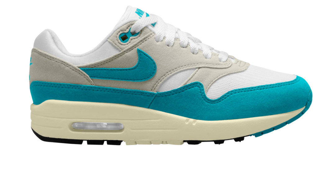 Nike Air Max 1 WMNS "Dusty Cactus," DZ2628-107, Size US 8