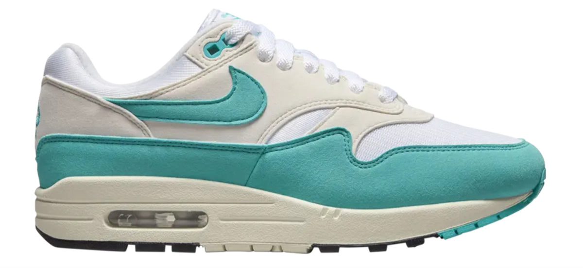 Nike Air Max 1 WMNS "Dusty Cactus," DZ2628-107, Size US 8